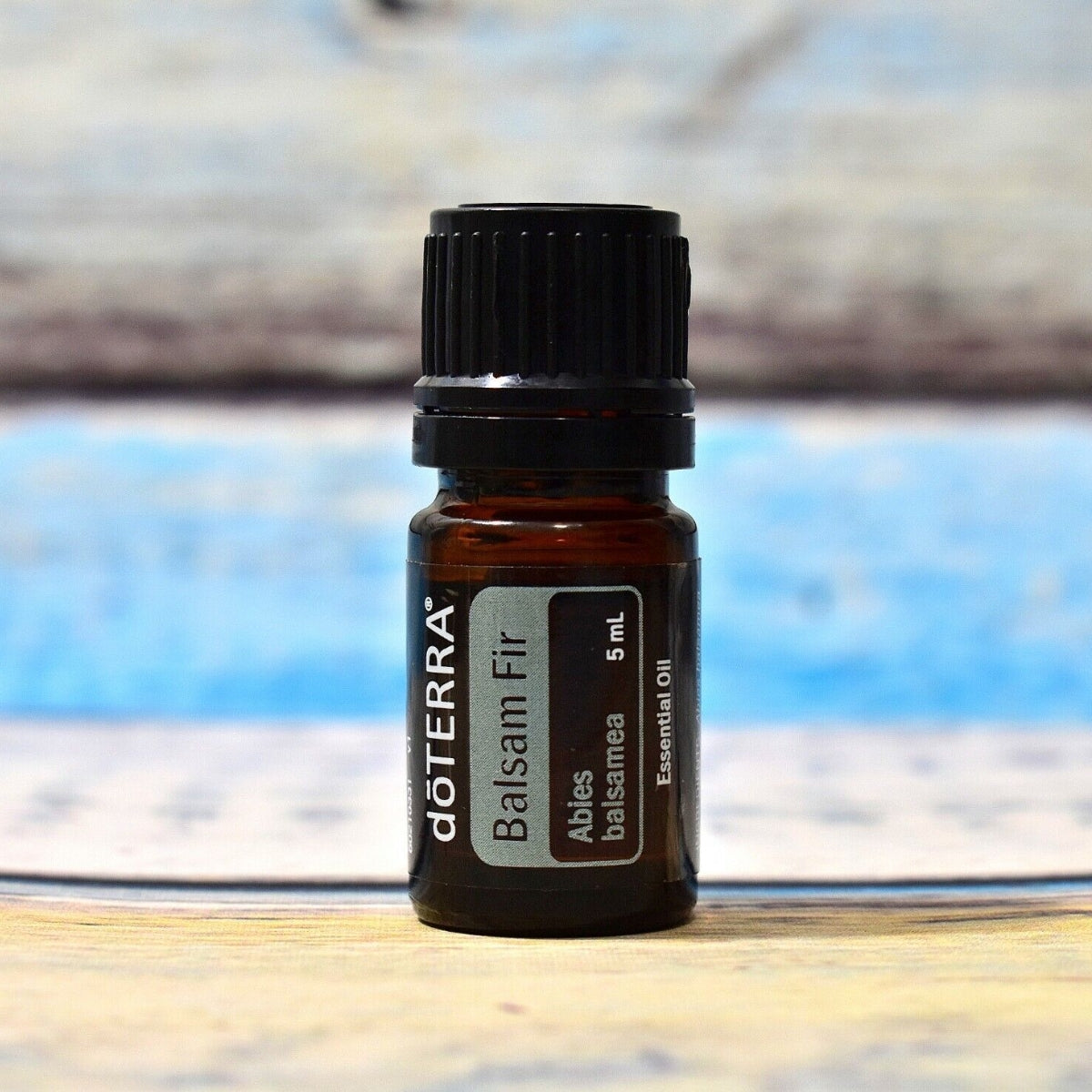 dōTERRA Balsam Fir Essential Oil - 5ml