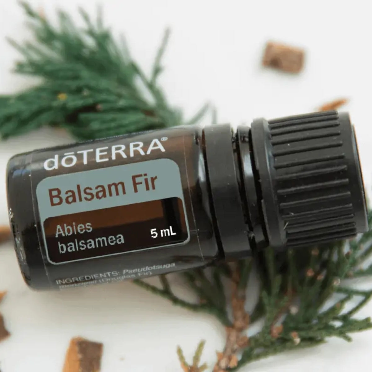 dōTERRA Balsam Fir Essential Oil - 5ml