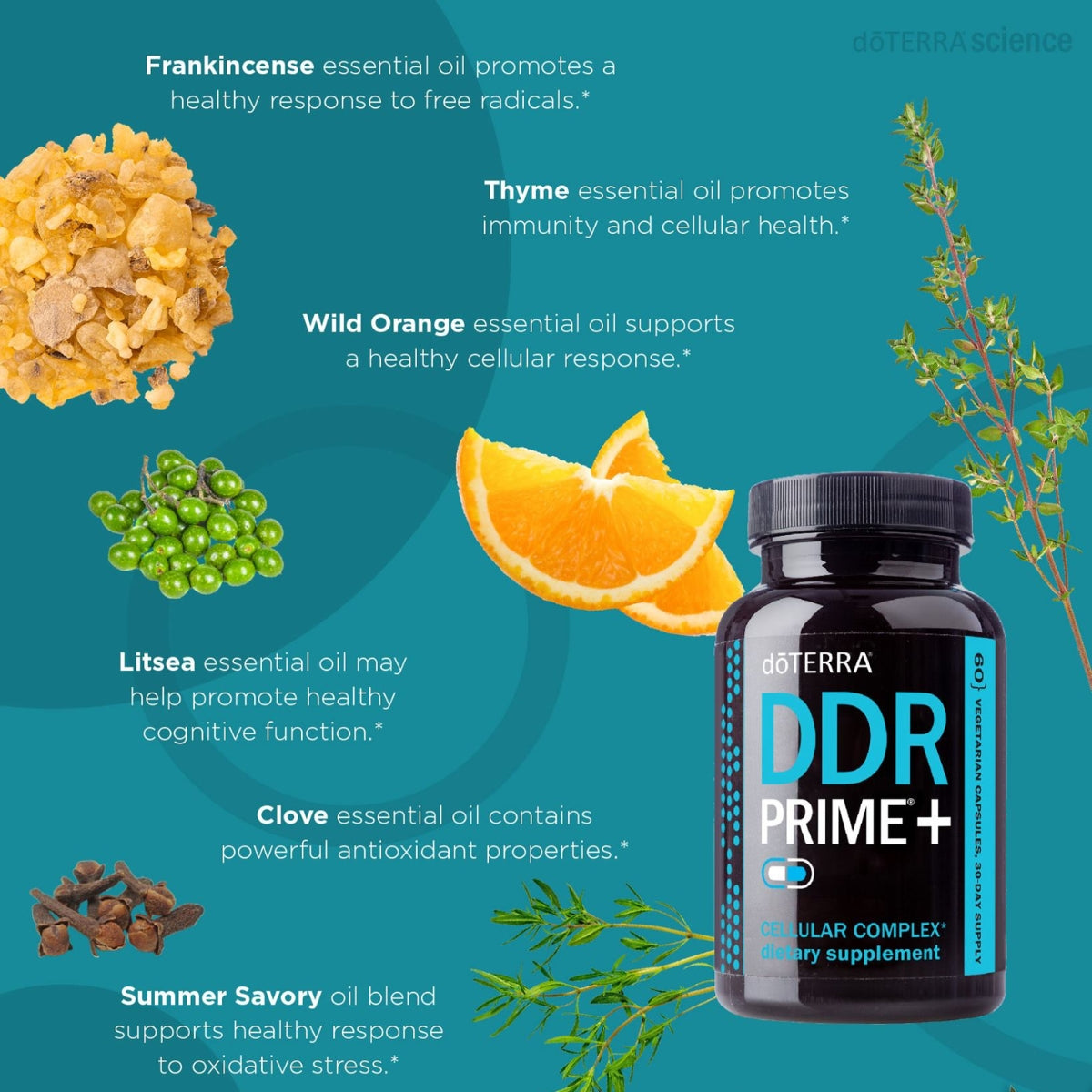 dōTERRA DDR Prime® Softgels Cellular Complex Botanical
