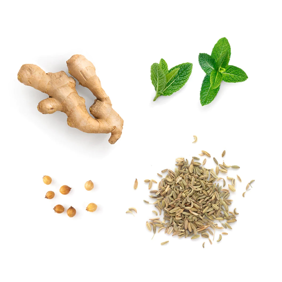 dōTERRA DigestZen® Digestive Blend Softgels Botanical