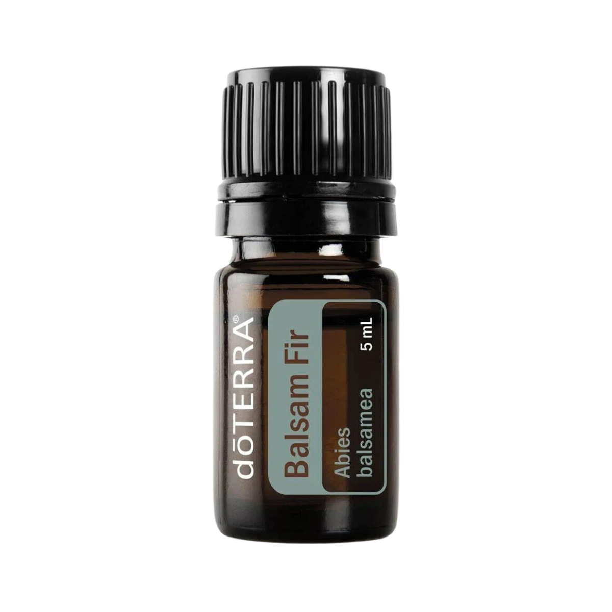 dōTERRA Balsam Fir Essential Oil - 5ml