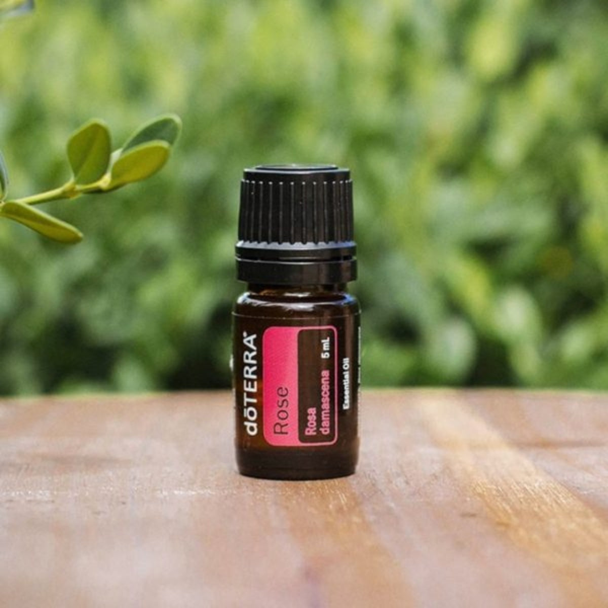 dōTERRA Rose Essential Oil - 5ml