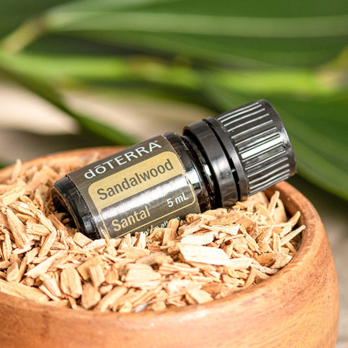 dōTERRA Sandalwood (Indian) Essential Oil - 5ml