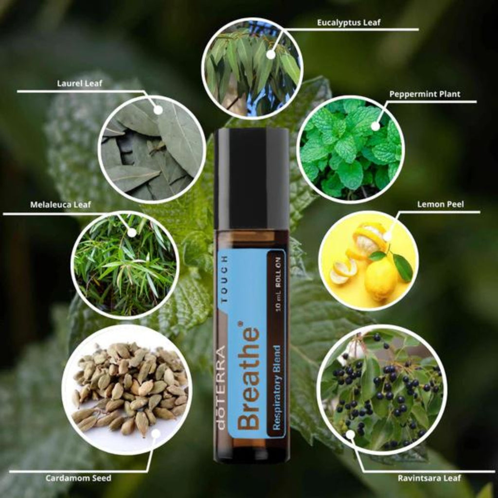 dōTERRA Breathe® Respiratory Blend Touch Botanical