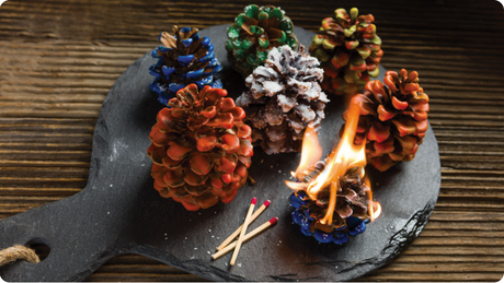 Autumn Pinecone Firestarter