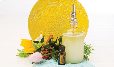 DIY Dish Soap with dōTERRA Oils