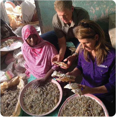 Co-Impact Sourcing: dōTERRA Frankincense