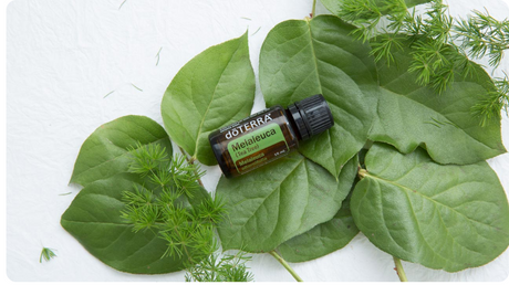 Soothe Skin Irritation with dōTERRA Melaleuca