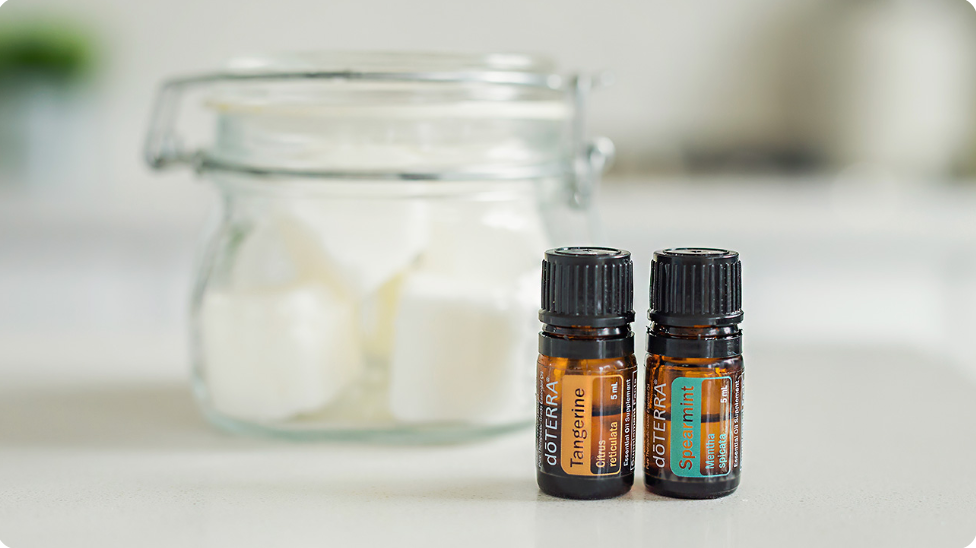 Garbage Disposal Refreshers with dōTERRA Oils