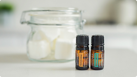 Garbage Disposal Refreshers with dōTERRA Oils