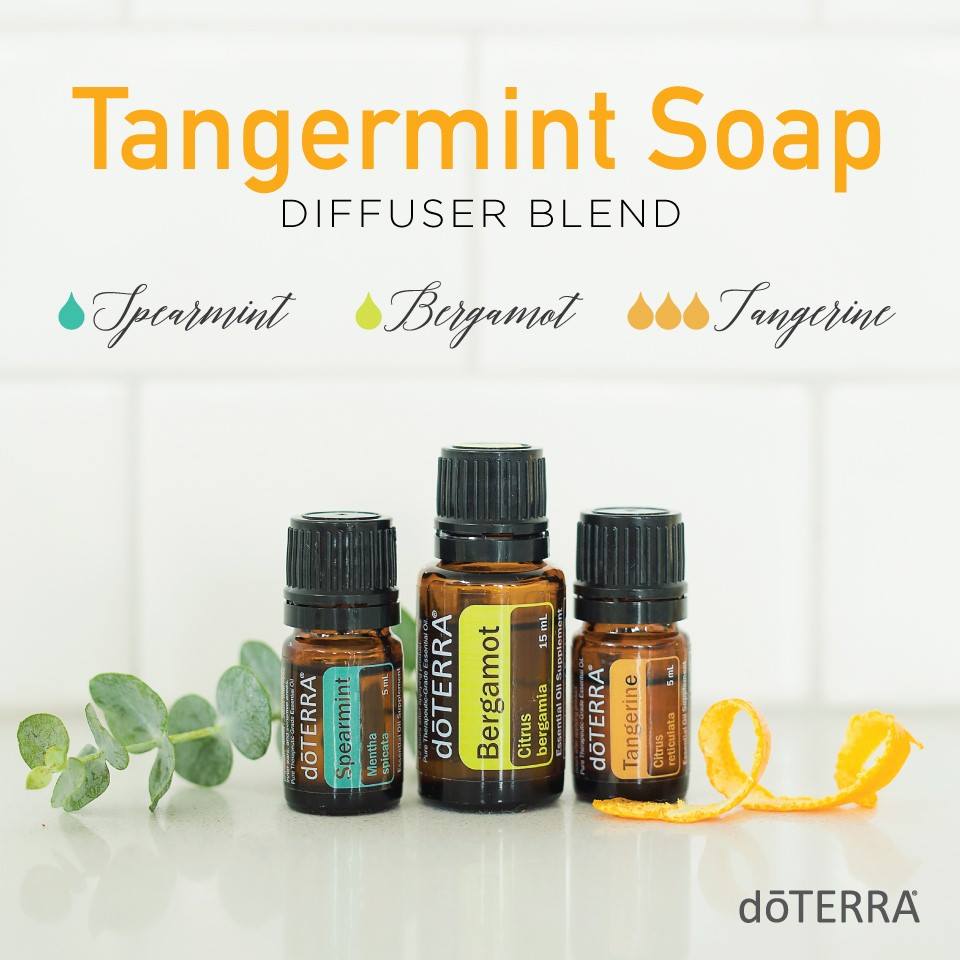 Tangermint Soap Diffuser Blend with dōTERRA Oils