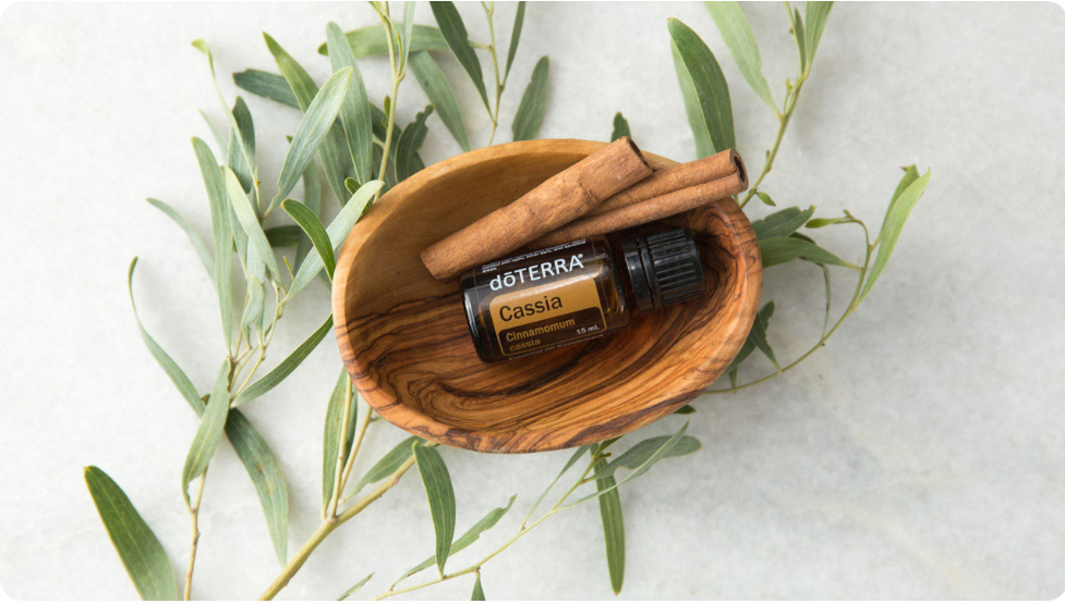 Support Healthy Immune Function with dōTERRA Cassia
