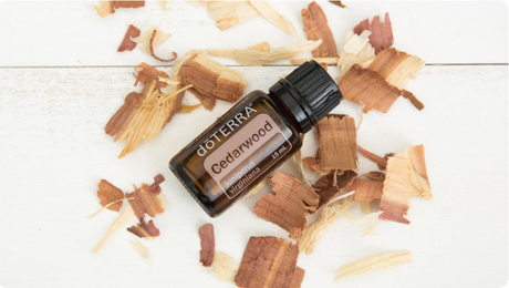 Exercise Routine with dōTERRA Cedarwood