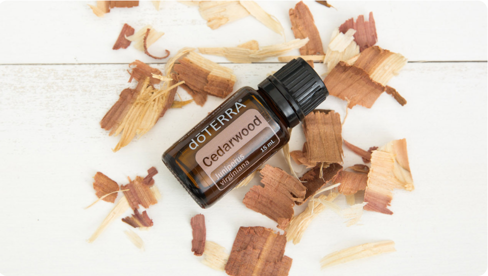 Repelling Insects with dōTERRA Cedarwood