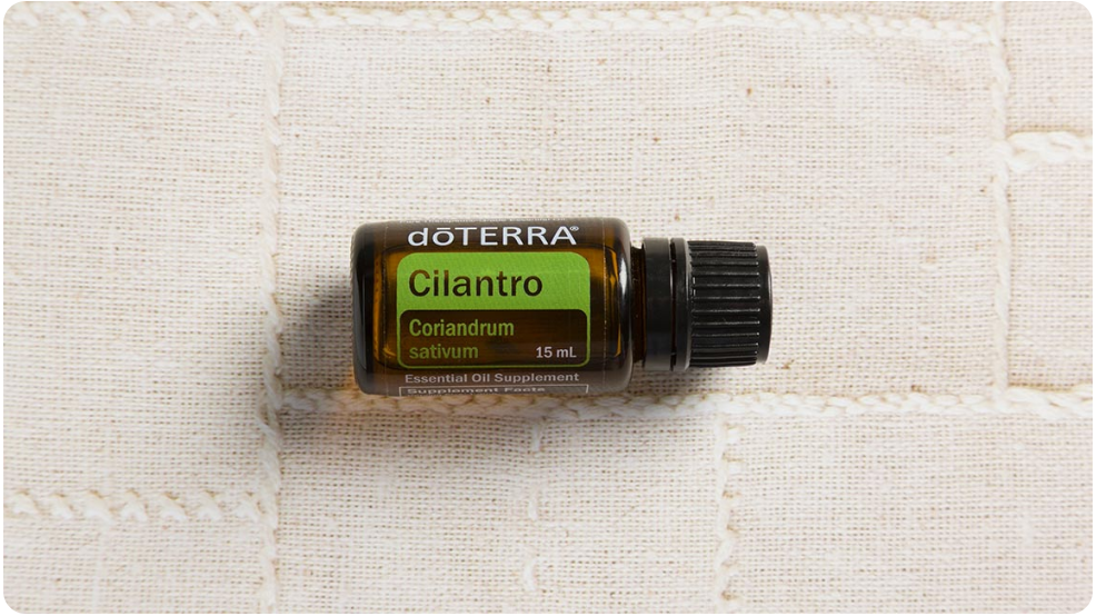 Herbal Aroma with dōTERRA Cilantro