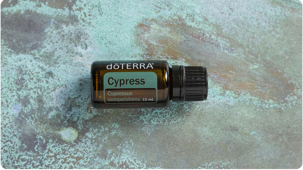 Oily Skin Use dōTERRA Cypress