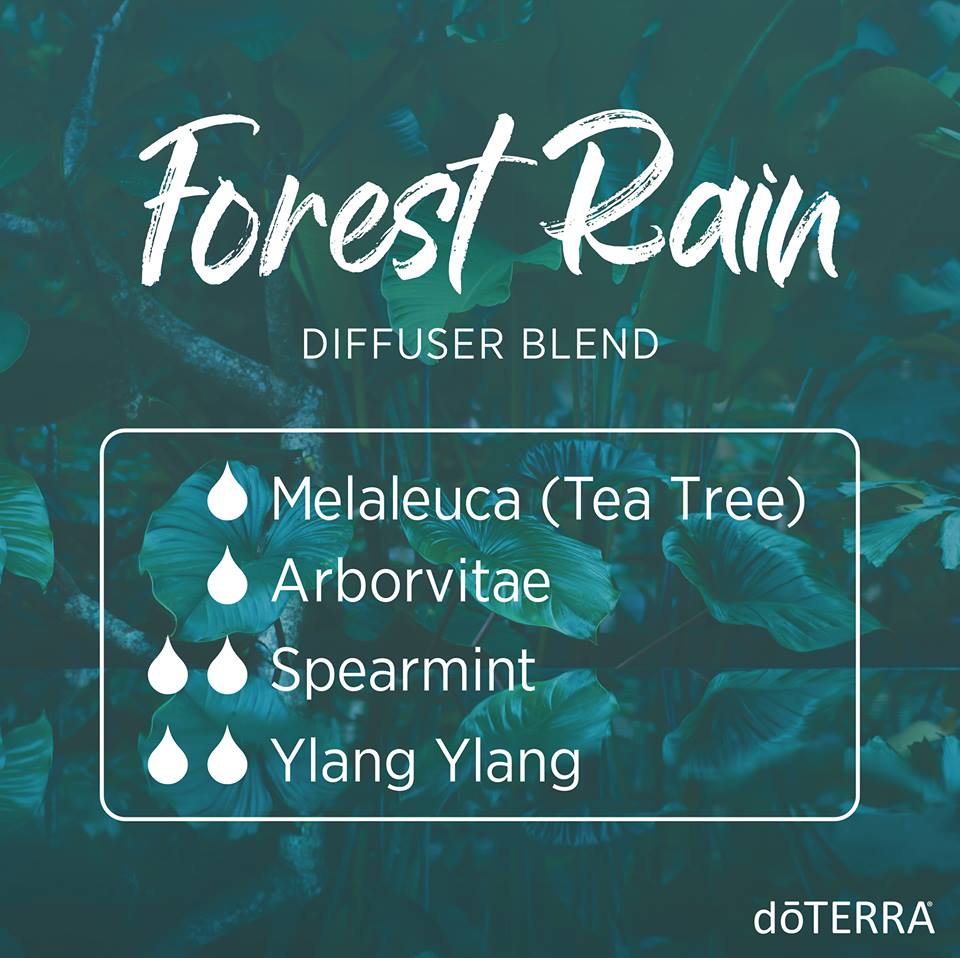 Forest Rain Diffuser Blend with dōTERRA Oils