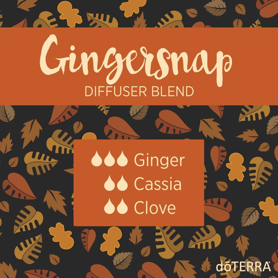 Gingersnap Diffuser Blend with dōTERRA Oils
