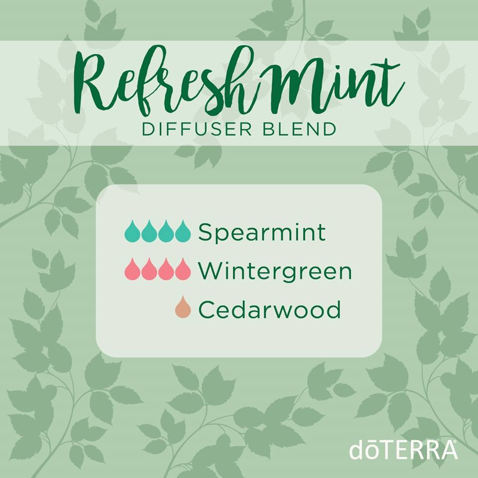 Refresh Mint Diffuser Blend