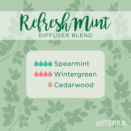 Refresh Mint Diffuser Blend