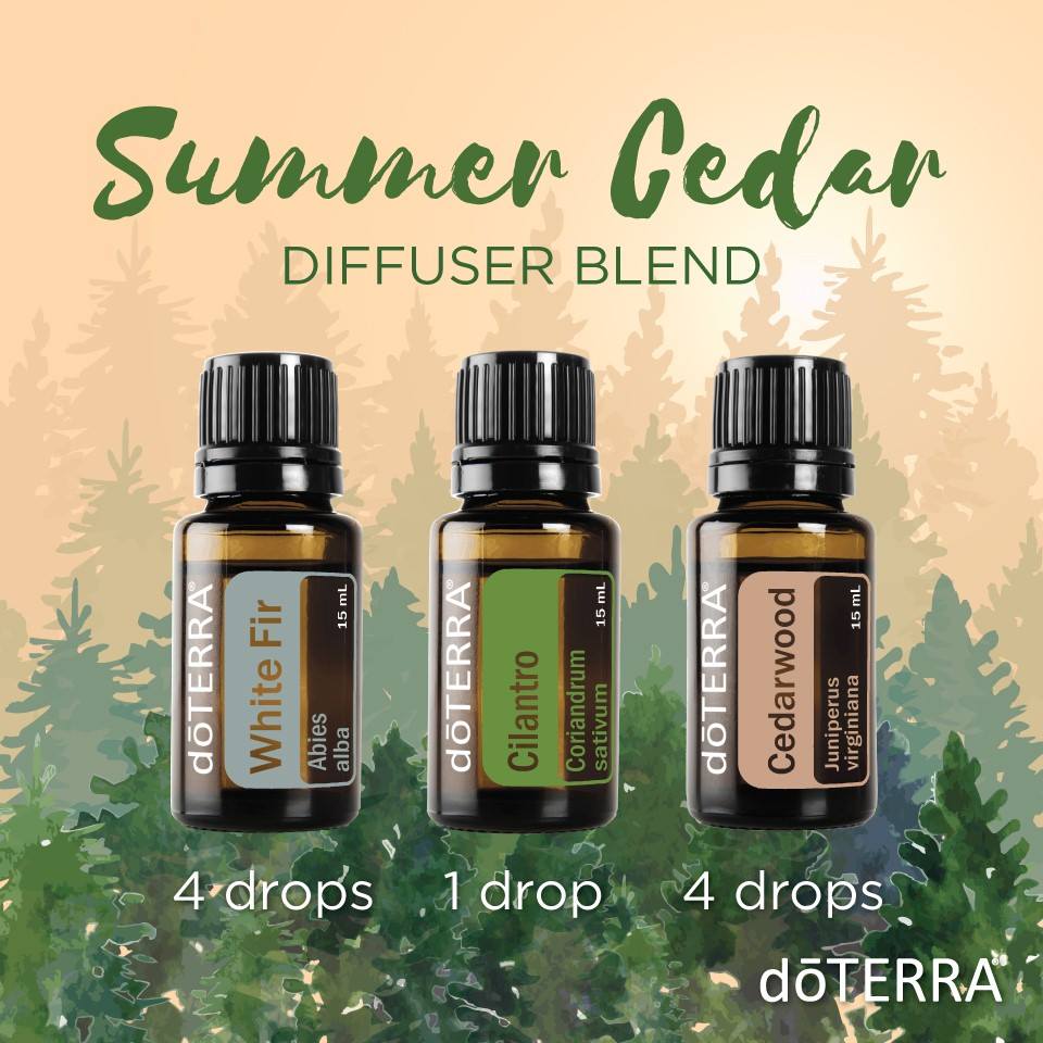 Summer Cedar Diffuser Blend with dōTERRA Oils