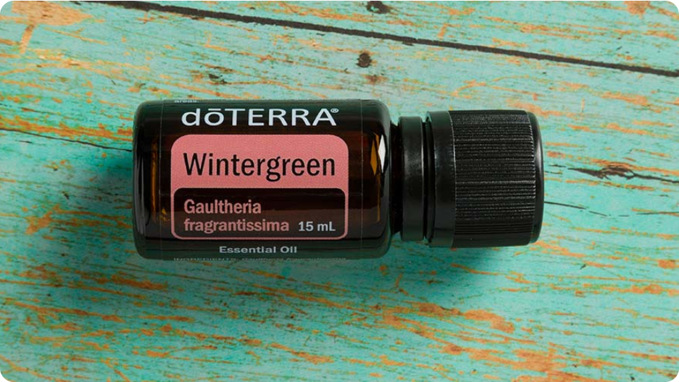 Renewing Both Mind And Body with dōTERRA Wintergreen