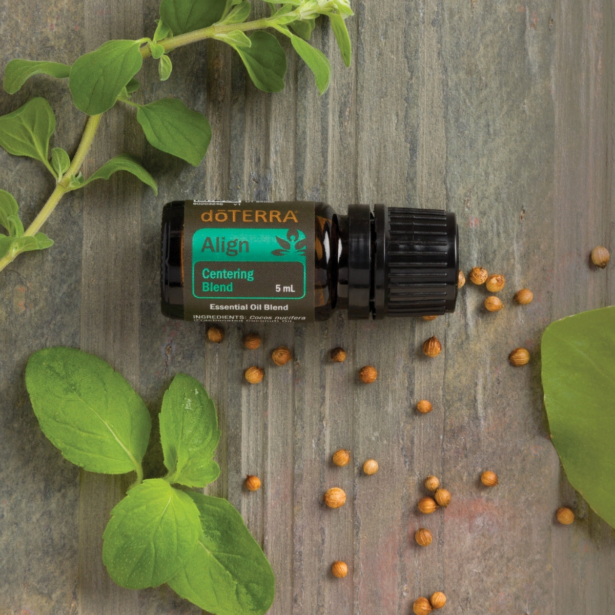 dōTERRA Align Centering Blend - 5ml