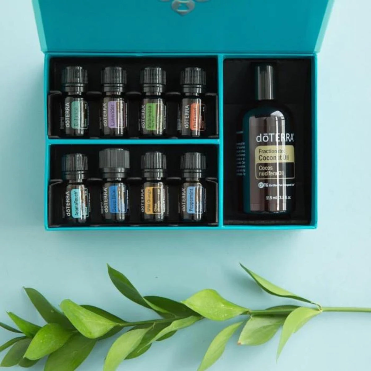 dōTERRA AromaTouch Technique Refill Kit