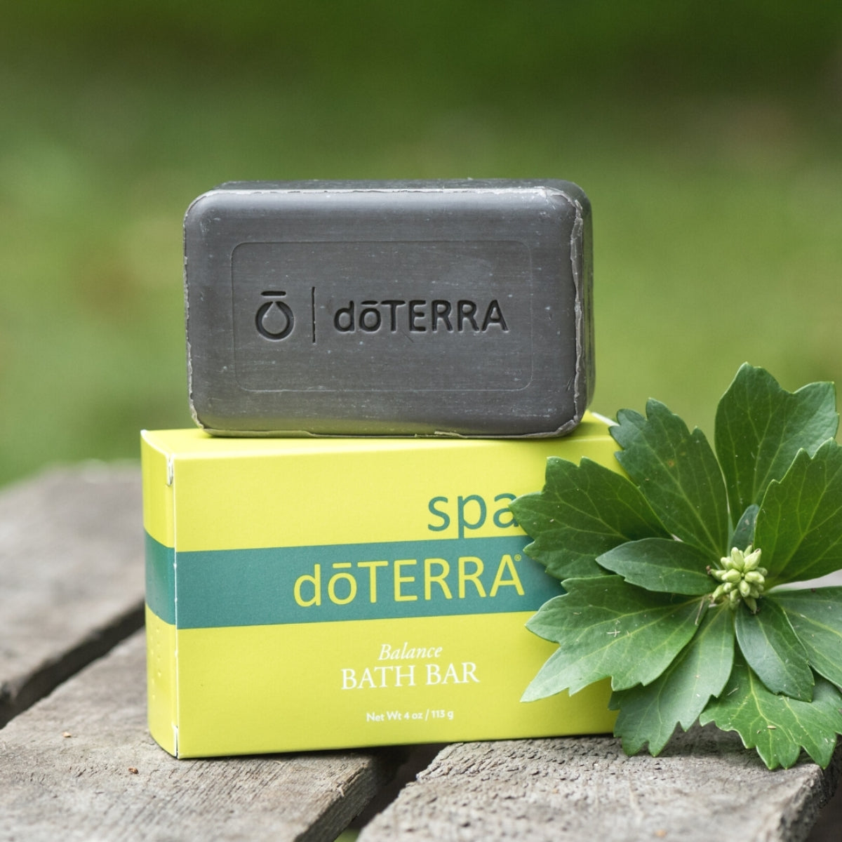 dōTERRA Balance Bath Bar