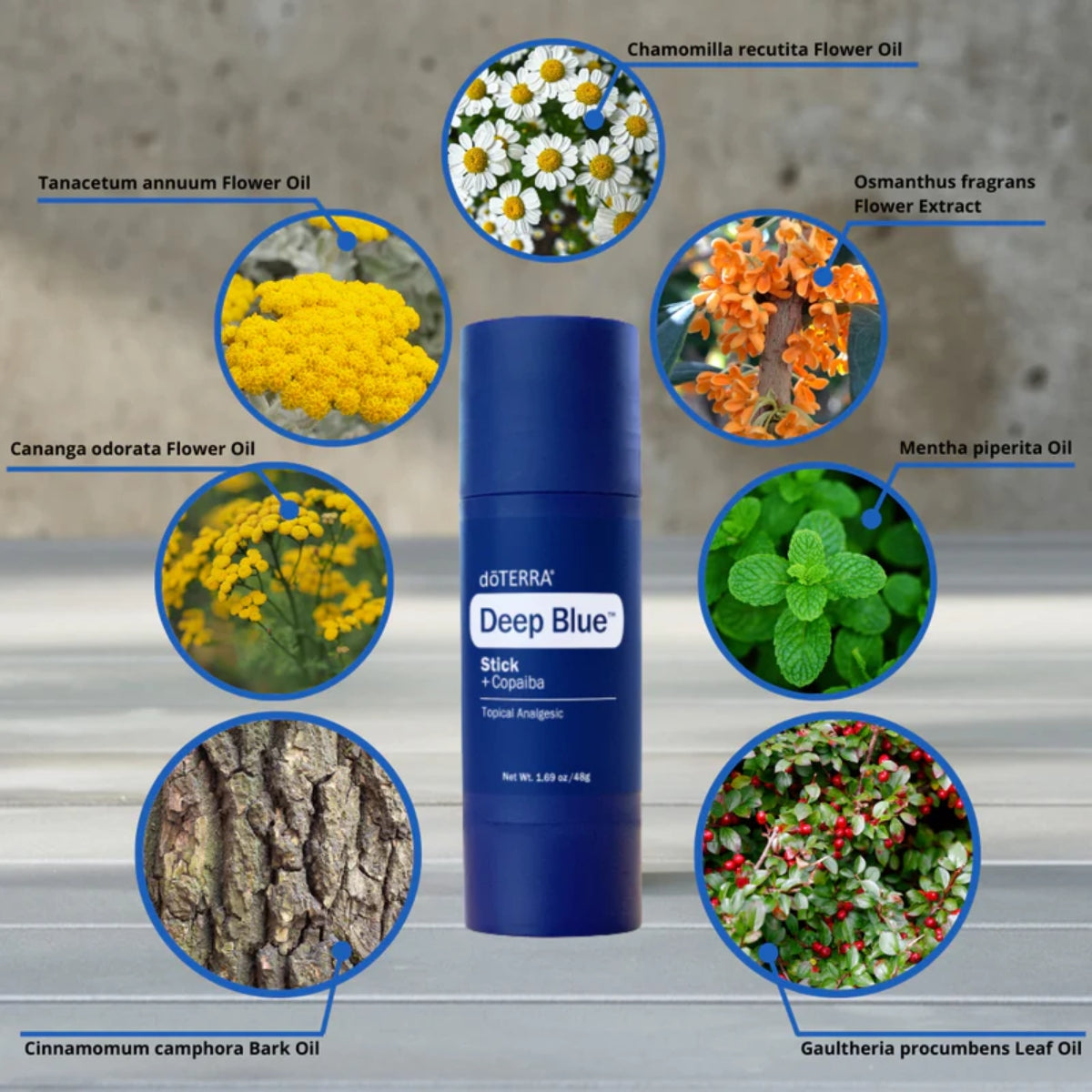 dōTERRA Deep Blue™ Stick Lifestyle Botanical