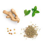 dōTERRA DigestZen® Digestive Blend Softgels Botanical
