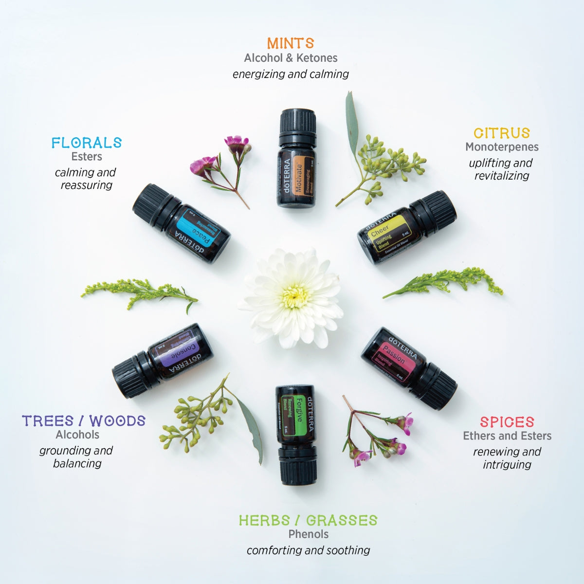 dōTERRA Emotional Aromatherapy® System  Botanical