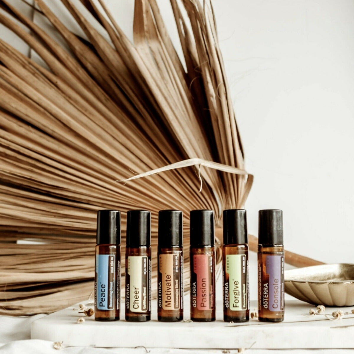 doTERRA-Emotional-Aromatherapy-Touch-Kit