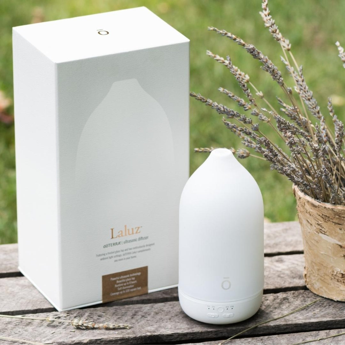 dōTERRA Laluz® Diffuser