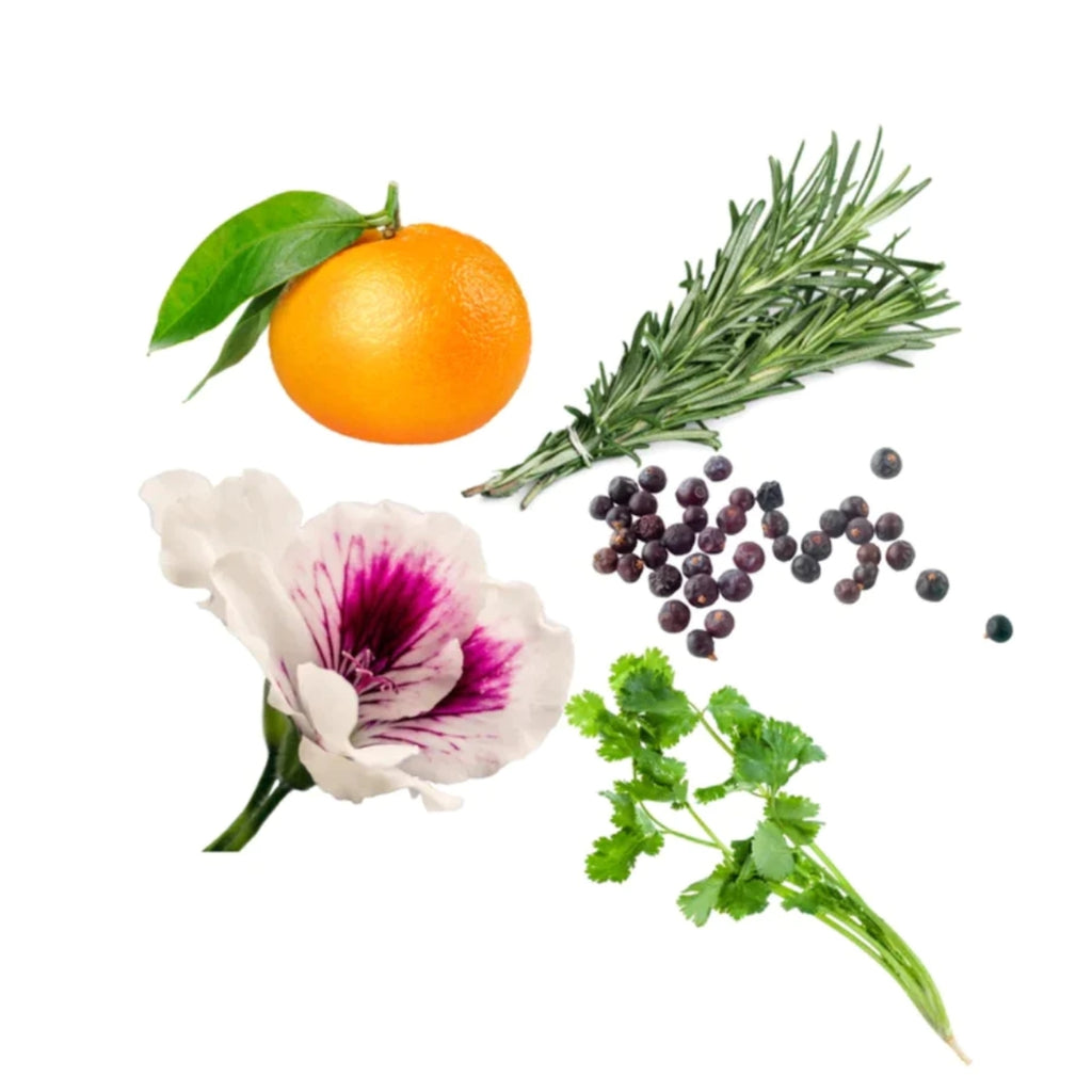 dōTERRA Zendocrine® Detoxification Blend Softgels Botanical