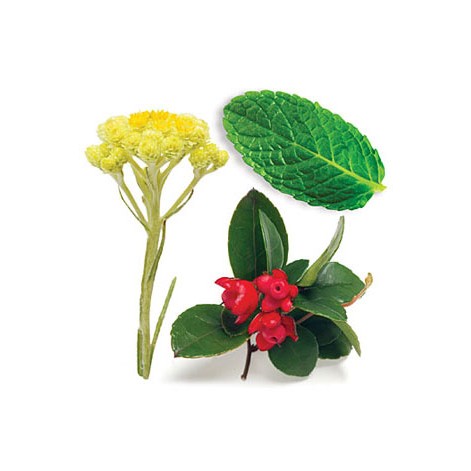 dōTERRA Deep Blue® Botanical