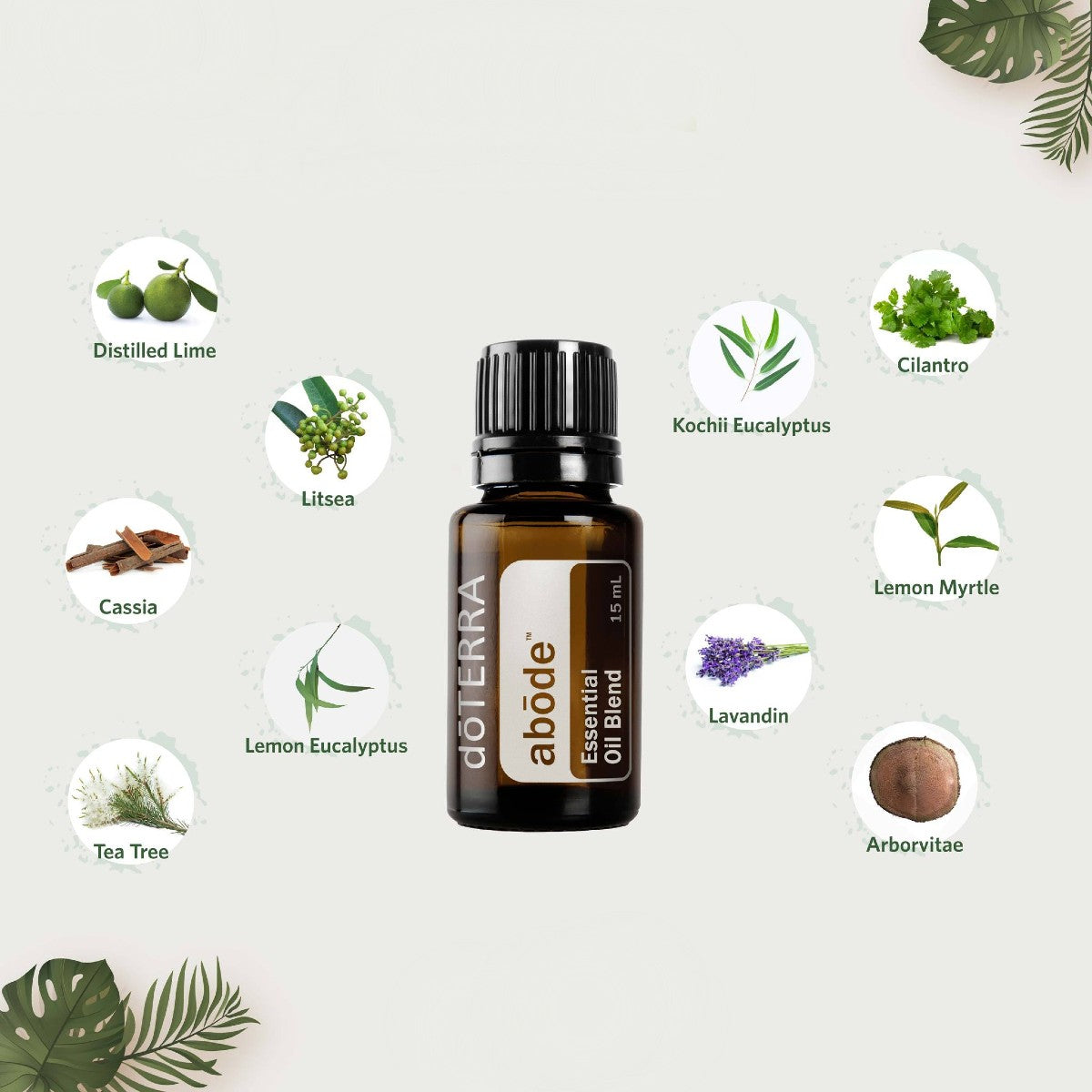 dōTERRA abōde Refreshing Blend Botanical