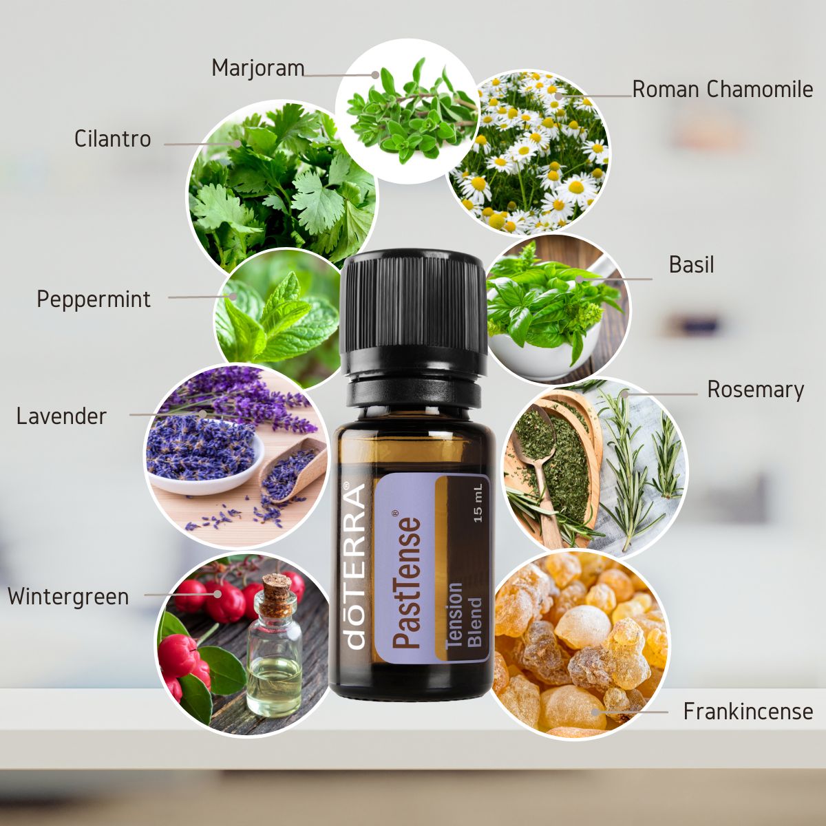 dōTERRA PastTense® Tension Blend Botanical