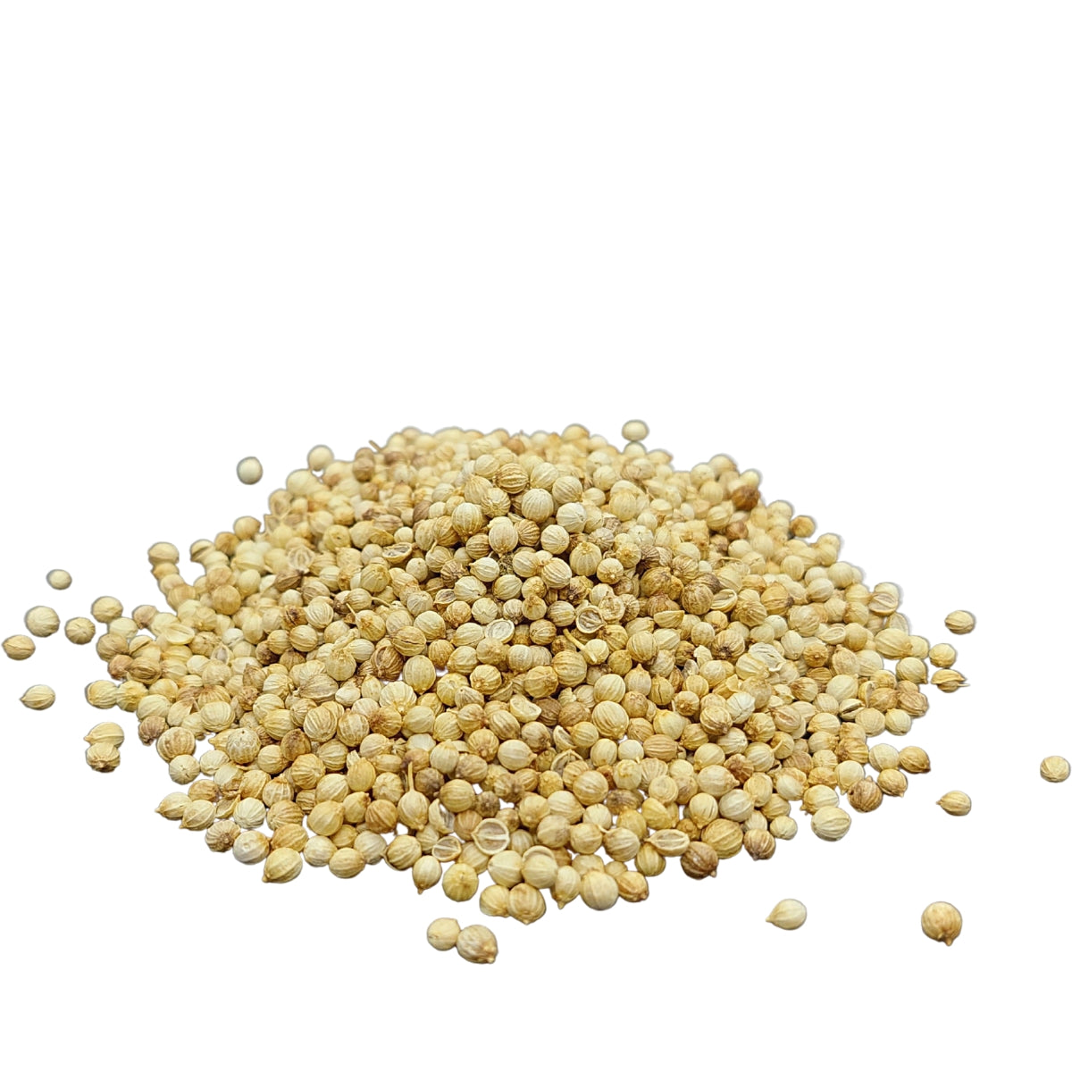 dōTERRA Coriander Essential Oil Botanical