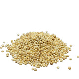 dōTERRA Coriander Essential Oil Botanical