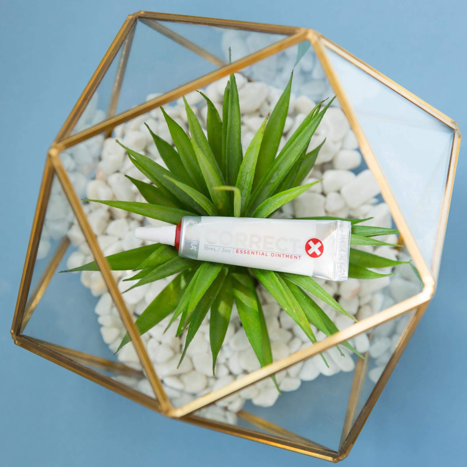 dōTERRA Correct-X® - Essential Ointment Life