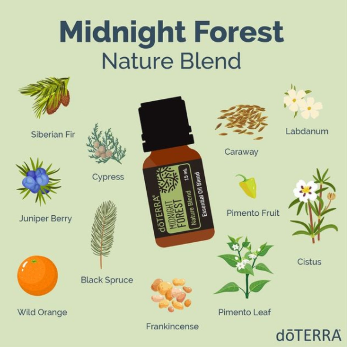 dōTERRA Midnight Forest™ Nature Blend Botanical