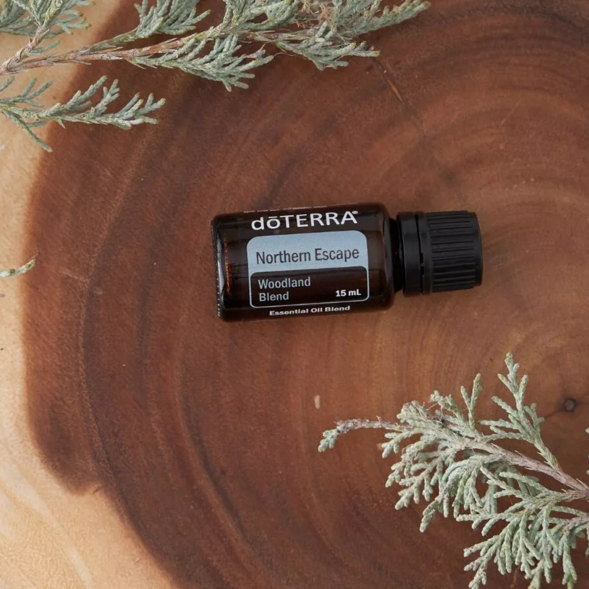 dōTERRA Northern Escape Woodland Blend