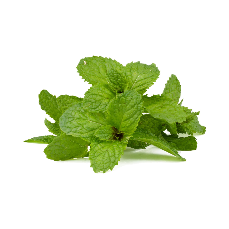 dōTERRA Peppermint Essential Oil - 15ml