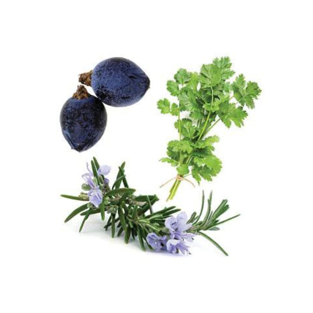 dōTERRA Zendocrine® Detoxification Blend Botanical