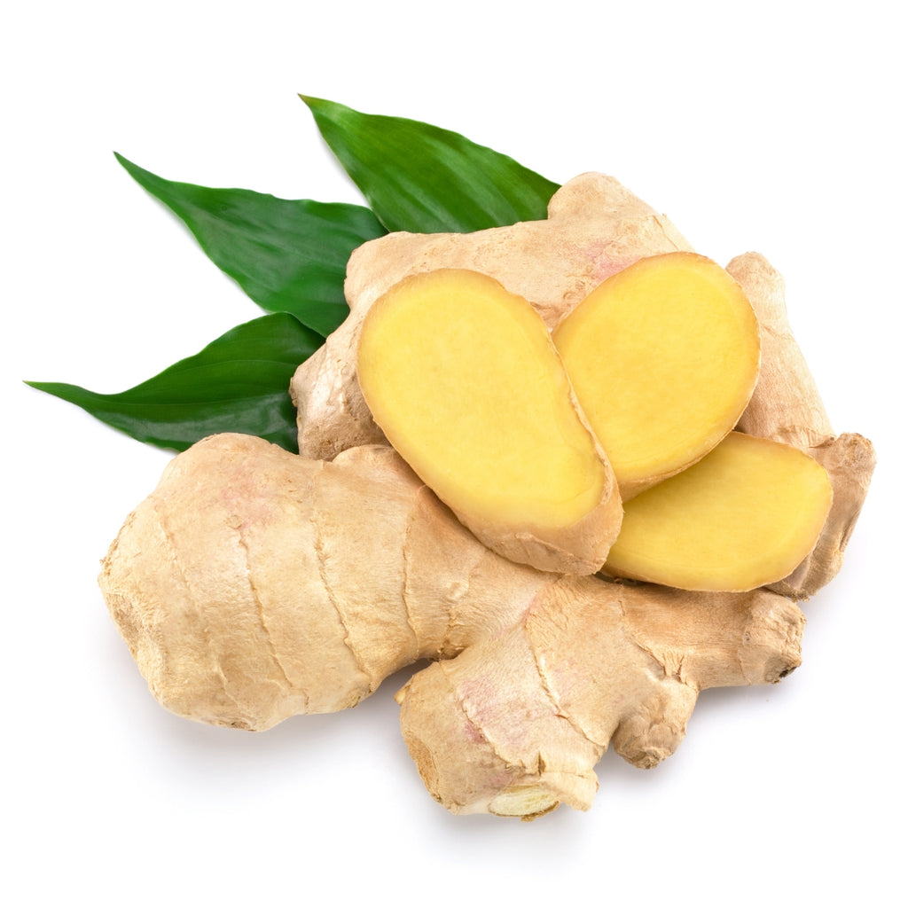 dōTERRA Ginger Essential Oil Botanical