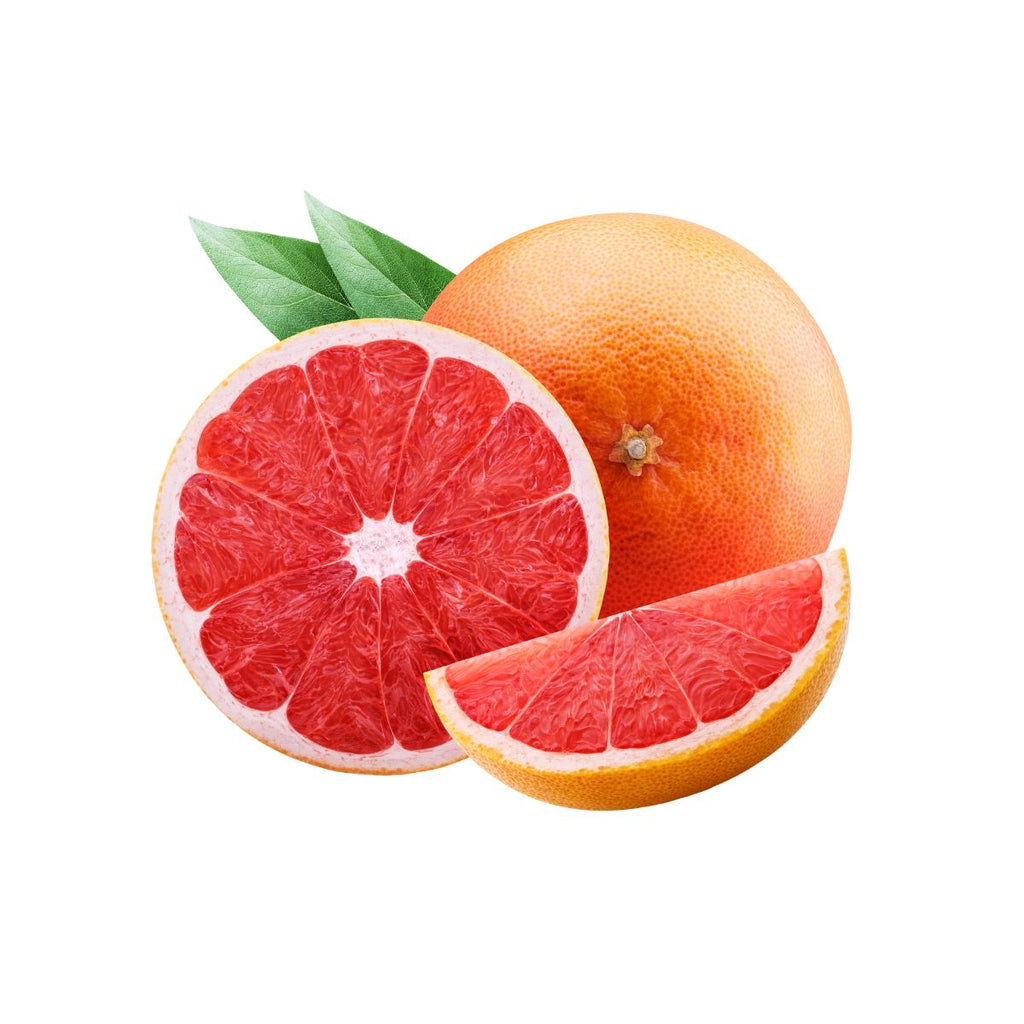 dōTERRA Grapefruit Essential Oil Botanical