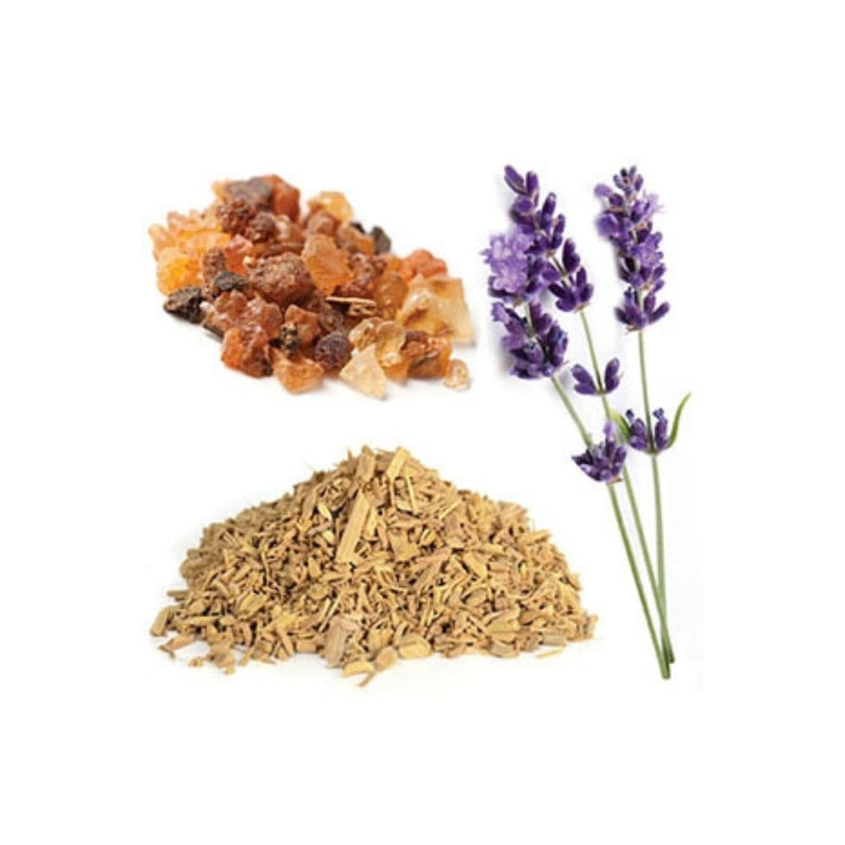 dōTERRA Immortelle Anti-Aging Blend Botanical