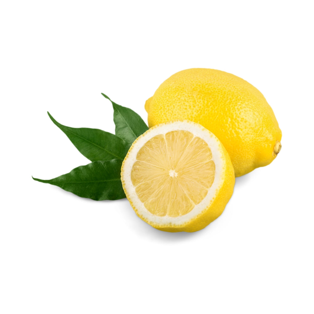 dōTERRA Lemon Essential Oil Botanical