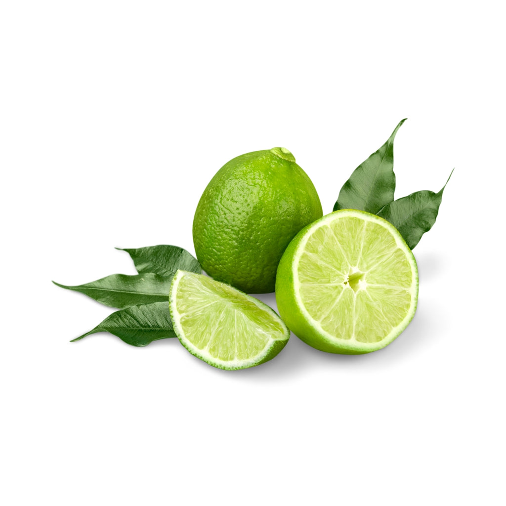 dōTERRA Lime Essential Oil Botanical